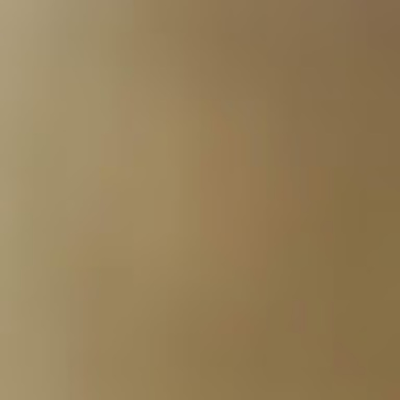 Meet your Posher, Frenchie - Picture 1 of 1